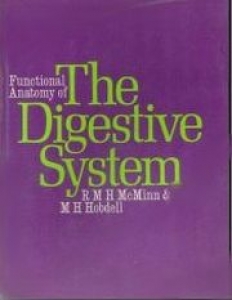 Functional Anatomy Of The Digestive System