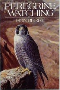 Peregrine Watching