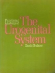 Functional Anatomy Of The Urogenital System