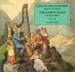 Harp In Wales In Pictures