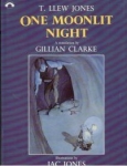One Moonlit Night