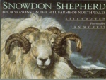 Snowdon Shepherd