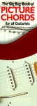 Gig Bag Book Of Picture Chords for All Guitarists