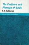 Feathers & Plumage Of Birds