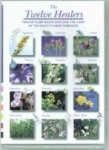 Twelve Healers DVD